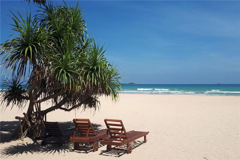 Um Urlaub in Sri Lanka zu machen, ist ein Visum erforderlich. Es empfiehlt sich, das Visum schon vorher online zu beantragen.Nathalie Helene Rippich/dpa-tmn