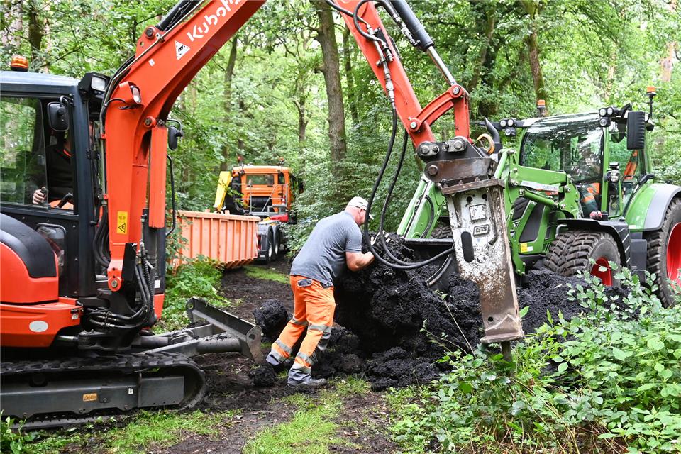 Um den Asphalt aus dem Wald wieder herauszubekommen, mussten die Arbeiter mit schwerem Gerät anrücken.