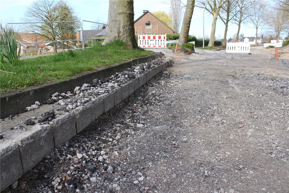 Um den Platanen am Südring mehr Raum zu geben und eine nachhaltige Entwässerung der Straße zu sichern, möchte die Gemeinde deren Breite von sieben auf sechs Meter verringern.