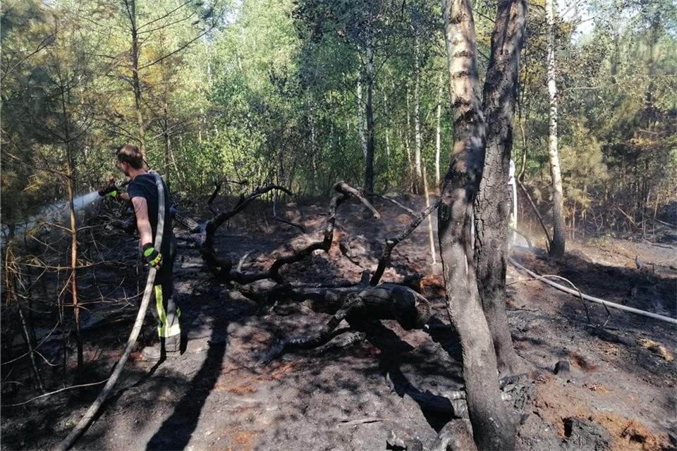 Um die Gefahr von Waldbränden auch in Schermbeck zu verringern, setzt das Land auf Vorsorge mit einer Kameraüberwachung.