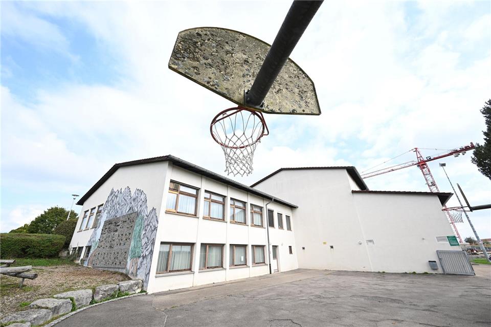 Um die Gemeindehalle in Kirchberg an der Murr abreißen zu dürfen, musste sich die Gemeinde erst um vier Fledermäuse kümmern.Bernd Weißbrod/dpa