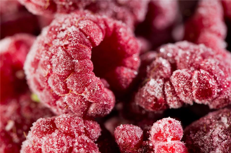 Um eventuelle Keime abzutöten, empfiehlt es sich, Tiefkühlbeeren vor dem Verzehr für einige Minuten bei 90 Grad zu erhitzen. picture alliance/dpa/dpa-tmn