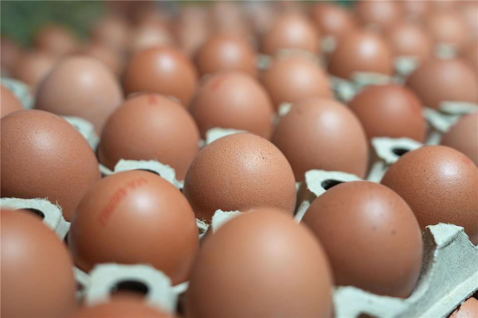 Um fast 14 Prozent haben sich Eier in Hessen im April im Vergleich zum Vorjahresmonat verteuert. (Symbolbild)Marcus Brandt/dpa
