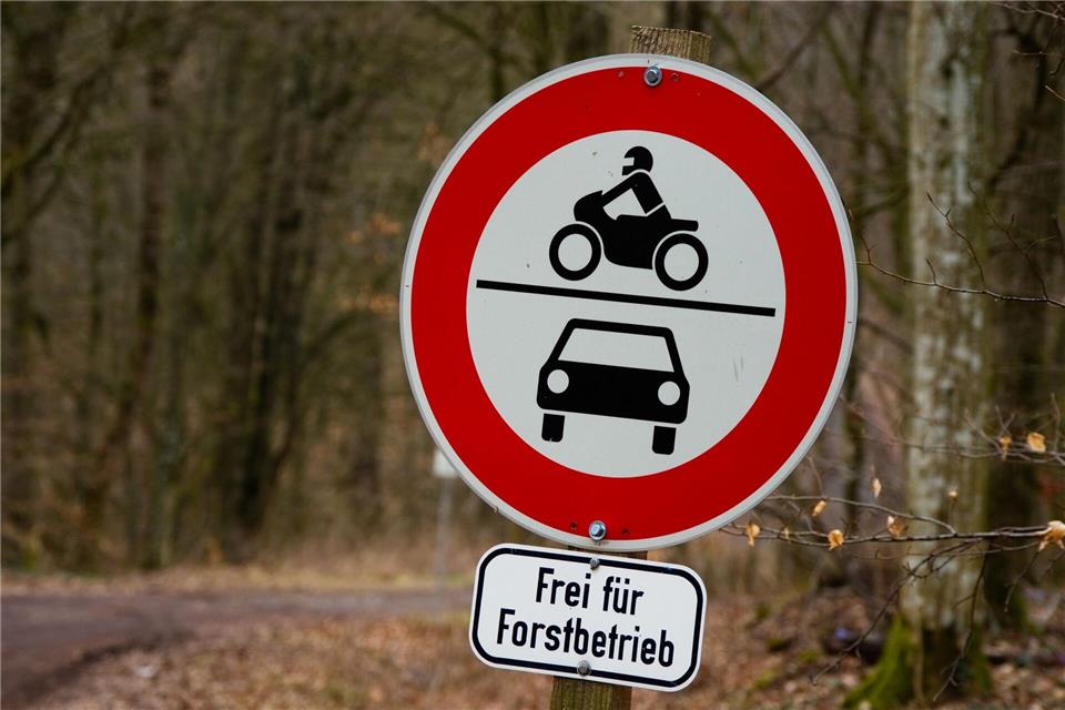 Um ins Tal zu gelangen, nutzt der Mann eine Forststraße. (Symbolbild)Nicolas Armer/dpa