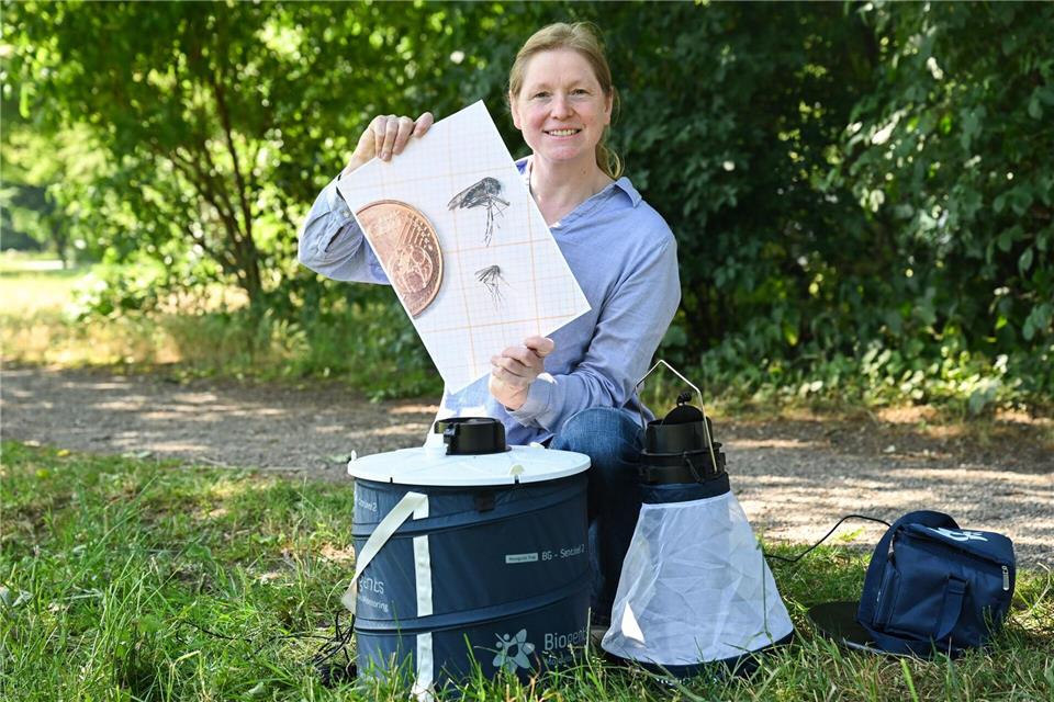 „Um mehr Informationen über die Verbreitung von Tigermücken in Niedersachsen zu gewinnen, sind wir auch auf die Unterstützung jedes Einzelnen angewiesen“, sagt Fachtierärztin Sonja Wolken.Julian Stratenschulte/dpa