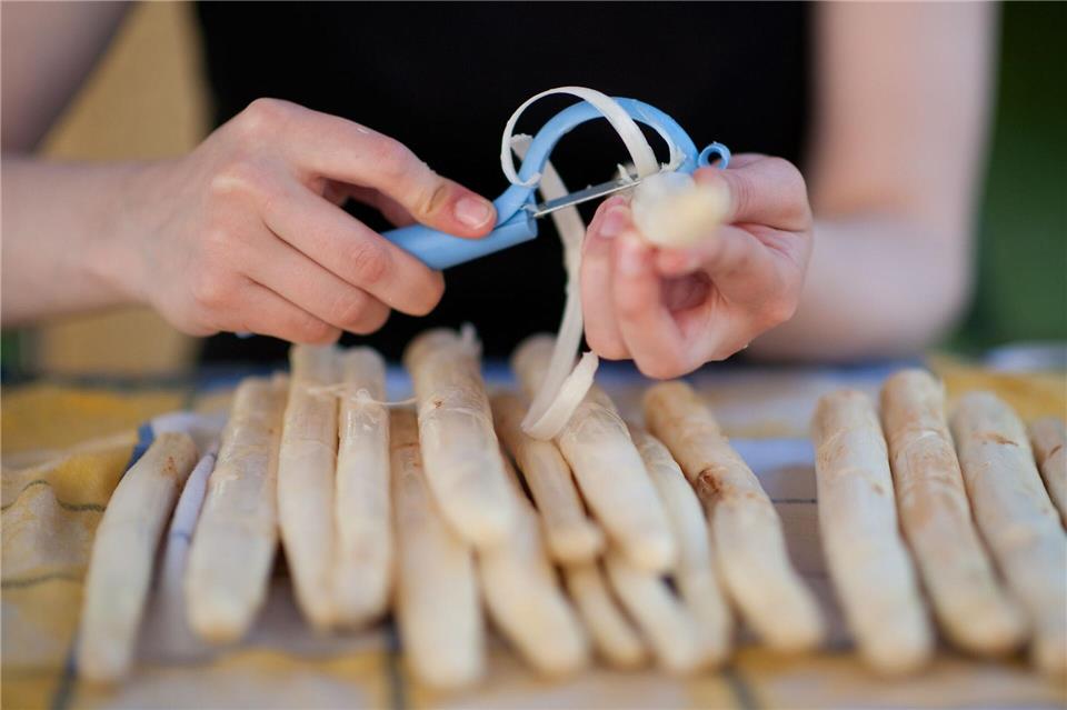 Um nichts vom weißen Gold zu vergeuden, Spargel nicht zu viel schälen: Es muss nicht direkt hinter dem Kopf angesetzt werden. Es reicht, nach dem oberen Dritteln anzufangen.Klaus-Dietmar Gabbert/dpa-tmn