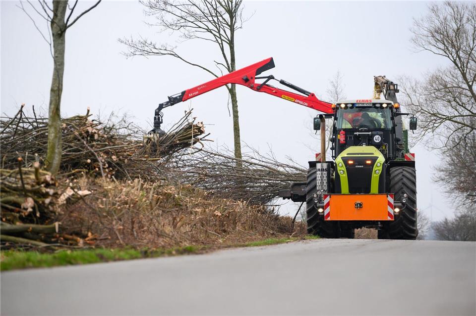Um sie zu erhalten, müssen sie im Winter gepflegt werden. (Archivbild)Jonas Walzberg/dpa
