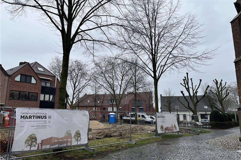 Um zwei Linden am Bauplatz des Pfarrheims dreht sich der Streit: Die Gemeinde hält die Fällung der Bäume für alternativlos.