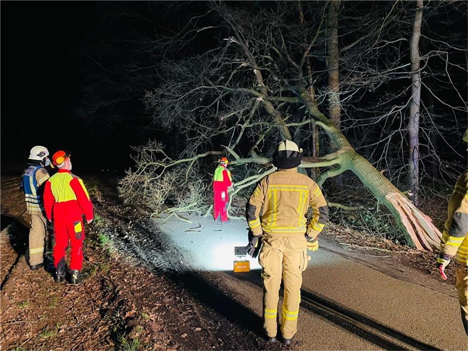 Umgestürzte Bäume (im Bild Feldgraben in Raesfeld) machten zahlreiche Straßen un...