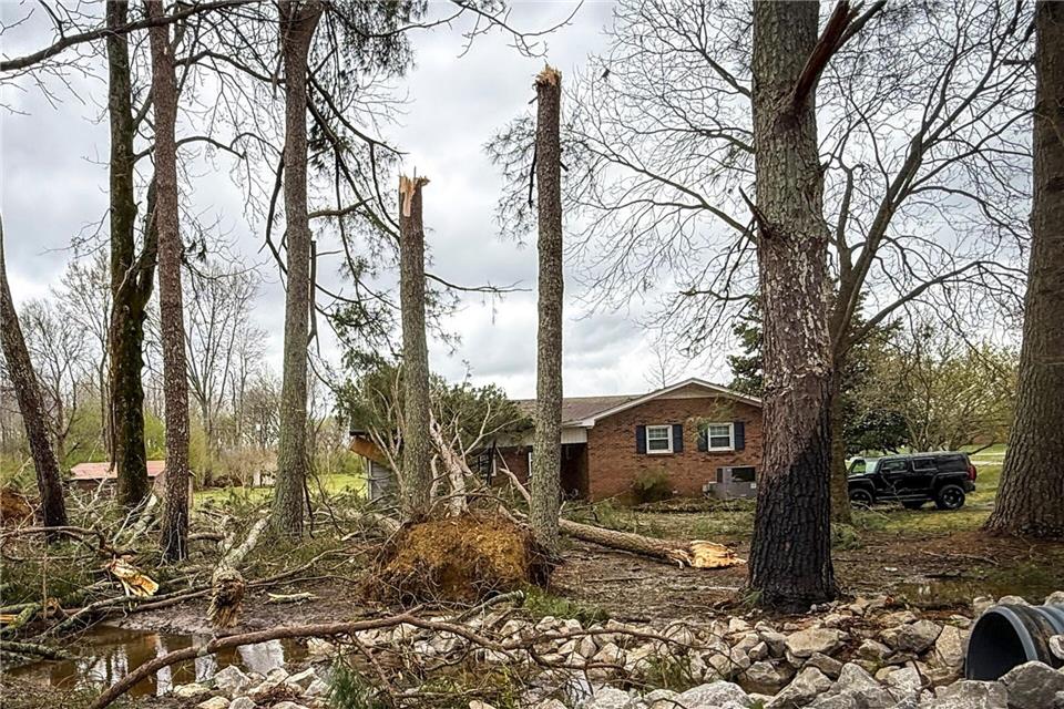 Umgestürzte und entwurzelte Bäume umgeben ein Haus in Lexington, Alabama.Dan Busey/TimesDaily/The TimesDaily/AP/dpa