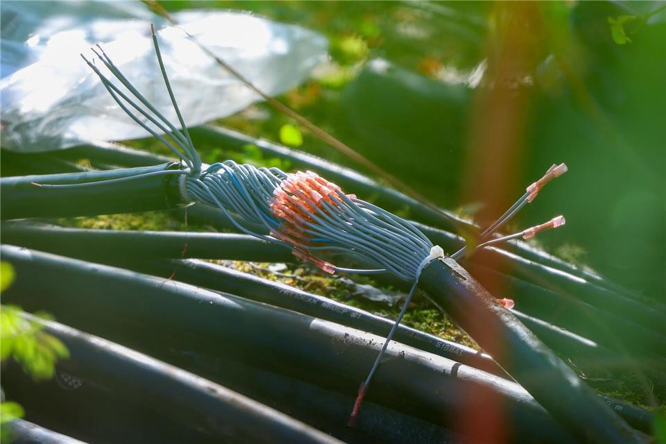Unbekannte Täter haben dieses dicke Kabel am Bahnhof Gelsenkirchen durchtrennt.Christoph Reichwein/dpa