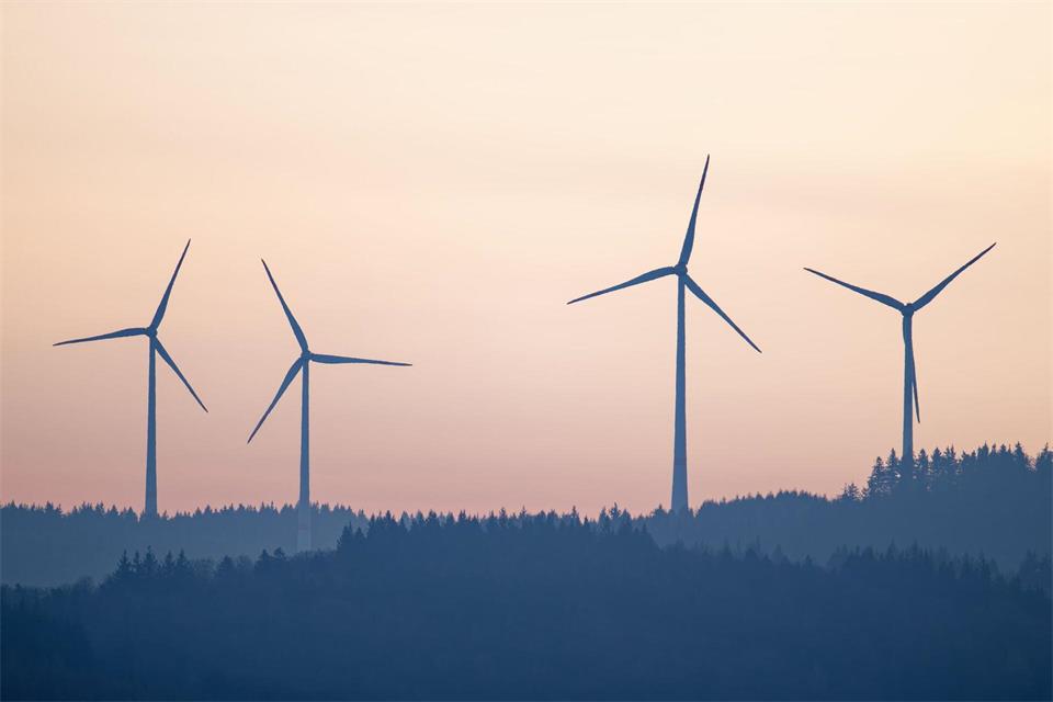 Unbekannte haben die Stromkabel des Windparks bei Oberkirch sabotiert. (Symbolbild)Uwe Anspach/dpa