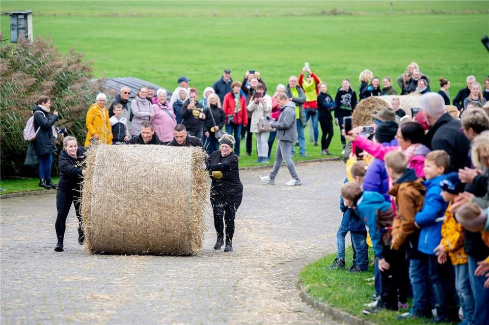 Und Action: Das Team „Die Strohstürmer“ rollt bei der Strohballen-Rollmeisterschaft einen Strohballen den Deich hinauf. Hauke-Christian Dittrich/dpa