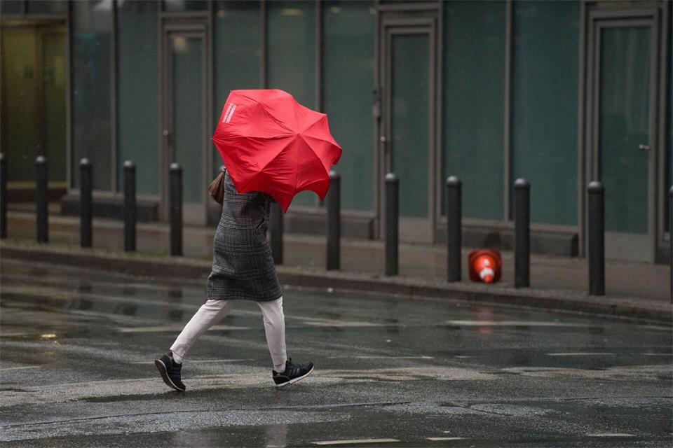 Ungemütliches Herbstwetter: Sturmböen haben in der Nacht vereinzelt Bäume zum Umsturz gebracht. (Symbolbild)Frank Rumpenhorst/dpa