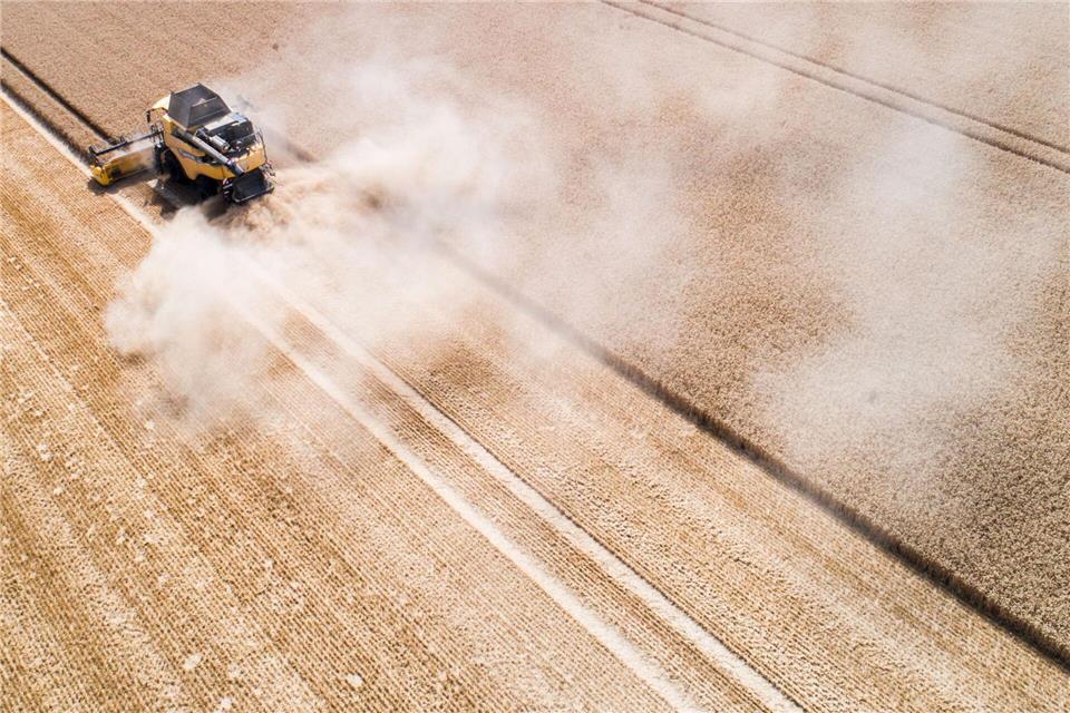 Unklare politische Rahmenbedingungen verunsichern viele Landwirte, die daher notwendige Investitionen aufschieben - daher sind die Zukunftserwartungen der Branche eher verhalten, heißt es im Konjunkturbarometer Agribusiness. (Archivbild)Julian Stratenschulte/dpa
