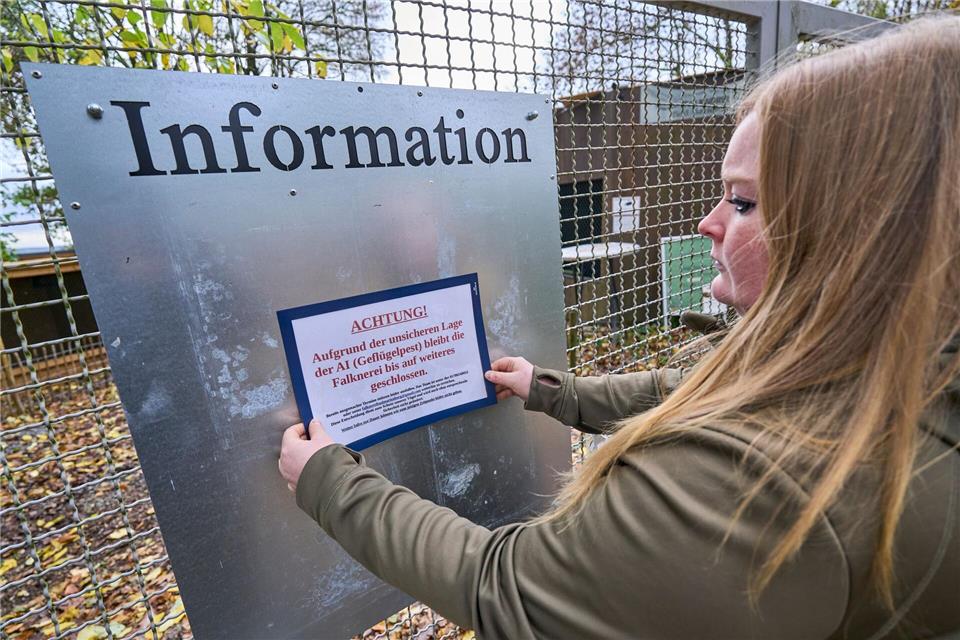 Volieren zu und Hoffen - Vogelhalter in Sorge um ihre Tiere  Unter Tierbesitzern geht die Angst um.Sascha Ditscher/dpa