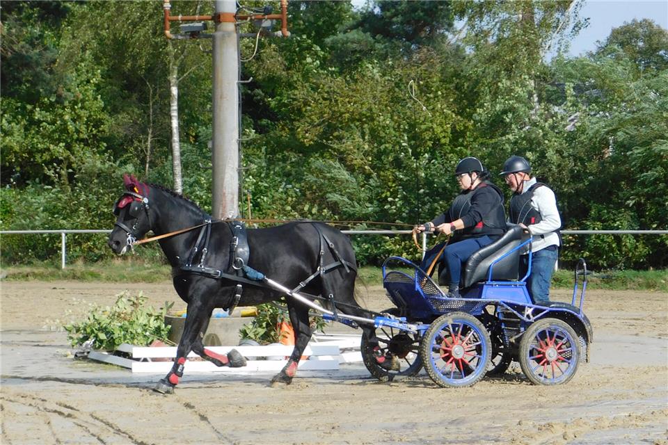 Unter anderem die Fahrsportler zeigten im Parcours ihr Können.