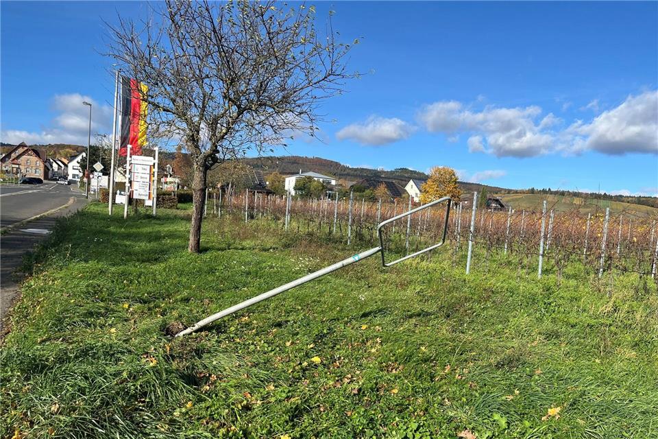 Unter anderem dieses Ortsschild in Oestrich-Winkel wurde gestohlen. Stadt Oestrich-Winkel/dpa