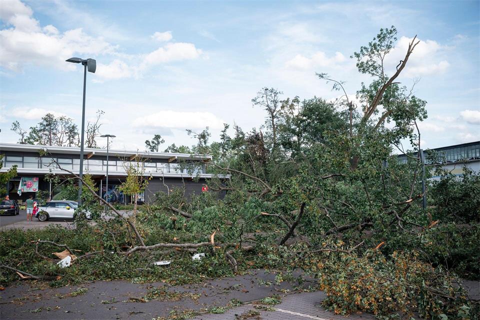 Unter anderem stürzten durch das Unwetter zahlreiche Bäume um. (Archivbild)Daniel Vogl/dpa