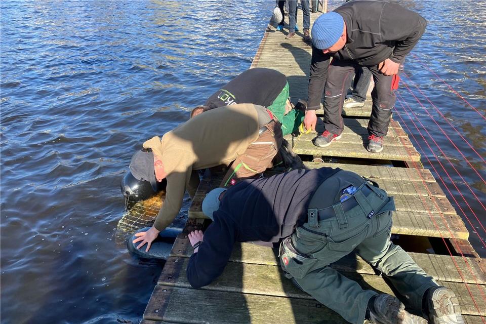 Unter den Stegen werden Körbe angebracht, die auch Fischen als Rückzugsmöglichkeit dienen.Stefan Flomm/dpa
