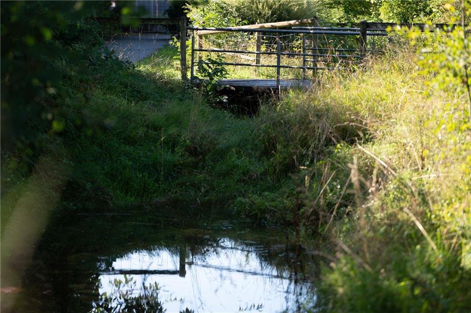 Unter der Brücke hatten Anwohner schon früh den Geruch mitbekommen.Markus Lenhardt/dpa
