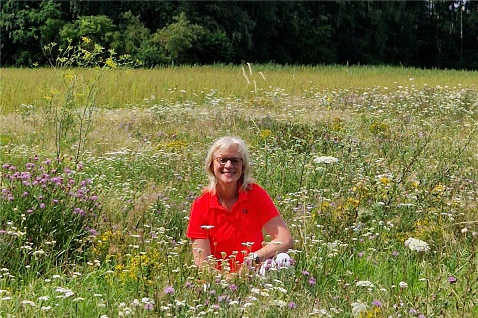 Unter der Leitung von Kräuterfachfrau Doris Gausling lernen die Teilnehmer auf einem kleinen Spaziergang essbare und heilkräftige Wildkräuter kennen.