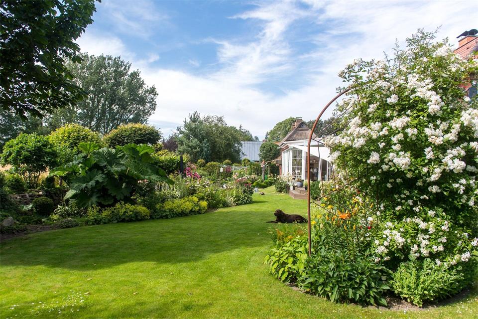 Unterschiedliche Pflanzenarten und -sorten können dazu beitragen, einen abwechslungsreichen und widerstandsfähigen Garten zu schaffen.Benjamin Nolte/dpa-tmn