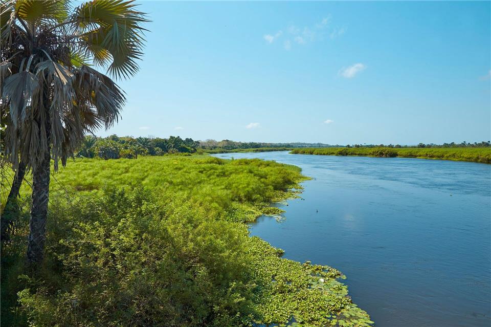 Unterwegs auf dem Kwanza River, dem längsten Fluss Angolas, kann man Vögel und Affen sehen.Robert Haidinger/Angola Tourism Board/dpa-tmn