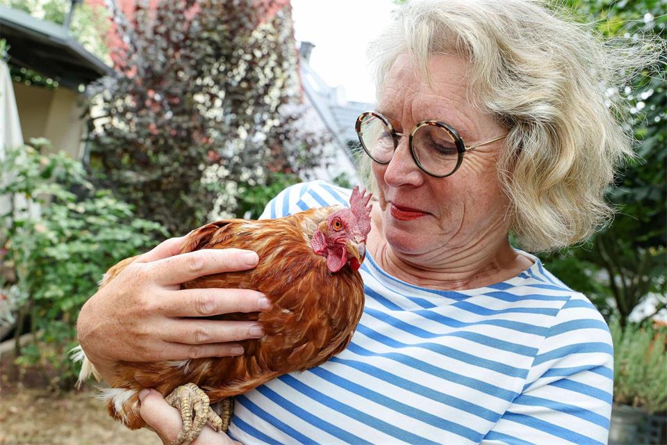 Ursula Höfling hält seit Jahren Hennen.Daniel Löb/dpa