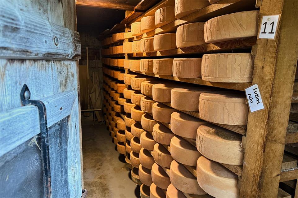 „Vacherin Fribourgeois Alpage“ darf der Käse nur heißen, wenn er über offenem Feuer hergestellt wurde. Im Käsekeller wird er regelmäßig gebürstet.Verena Wolff/dpa-tmn