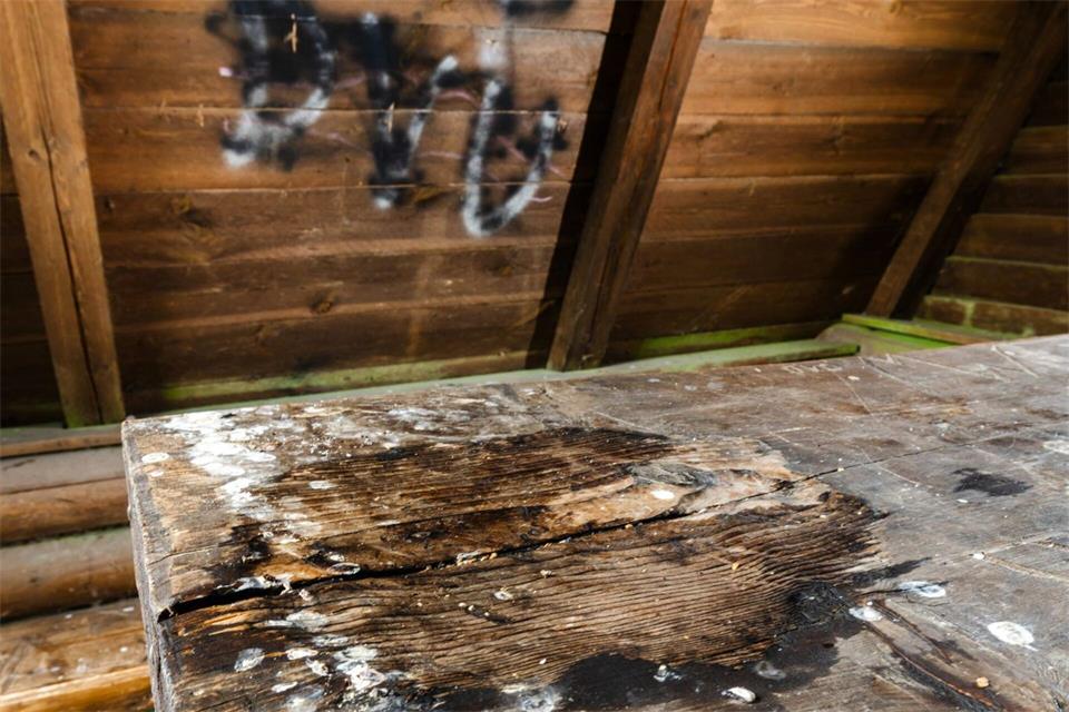 Vandalismus ist auf manchen Wanderwegen ein Problem. Michael Reichel/dpa