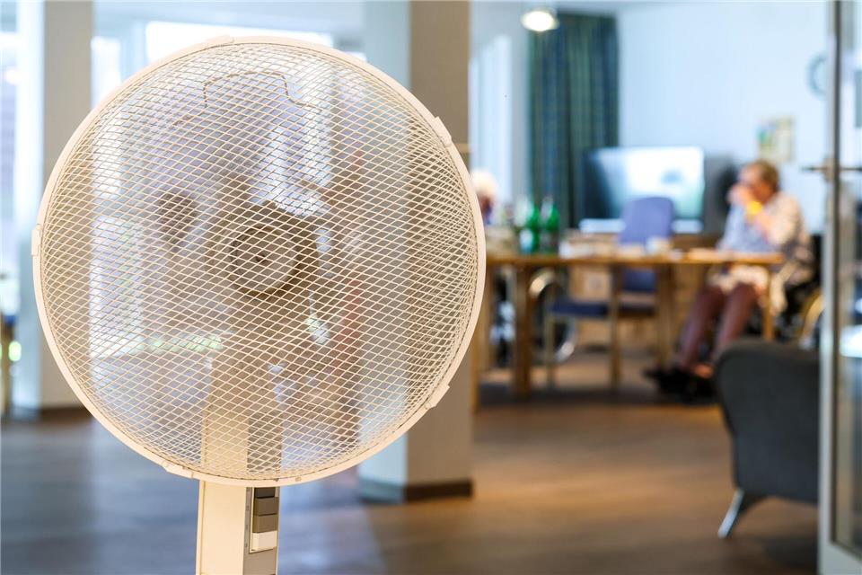 Ventilatoren sind in diesen Wochen besonders begehrt.Christoph Reichwein/dpa