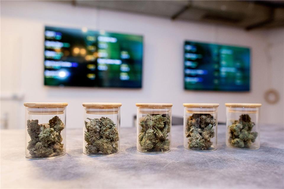 Vereine dürfen Cannabis an ihre zahlenden Mitglieder abgeben. (Archivbild)Hauke-Christian Dittrich/dpa