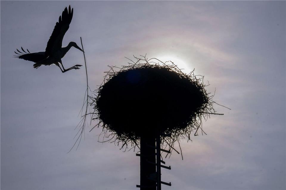 Vereinzelt kommt die Sonne durch, doch oft bleibt es Anfang der Woche bewölkt im Freistaat. (Archivbild)Pia Bayer/dpa
