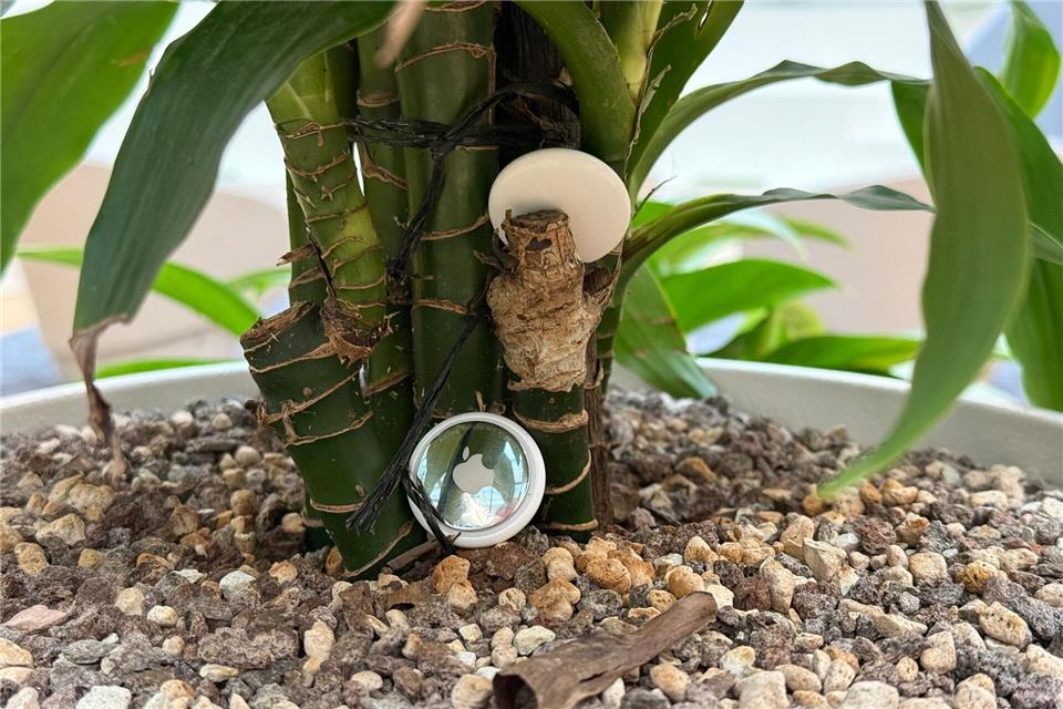 Verloren im Dickicht: Ein alter und ein neuer Airtag (unten) bei der Suche im Vergleichstest.Till Simon Nagel/dpa-tmn