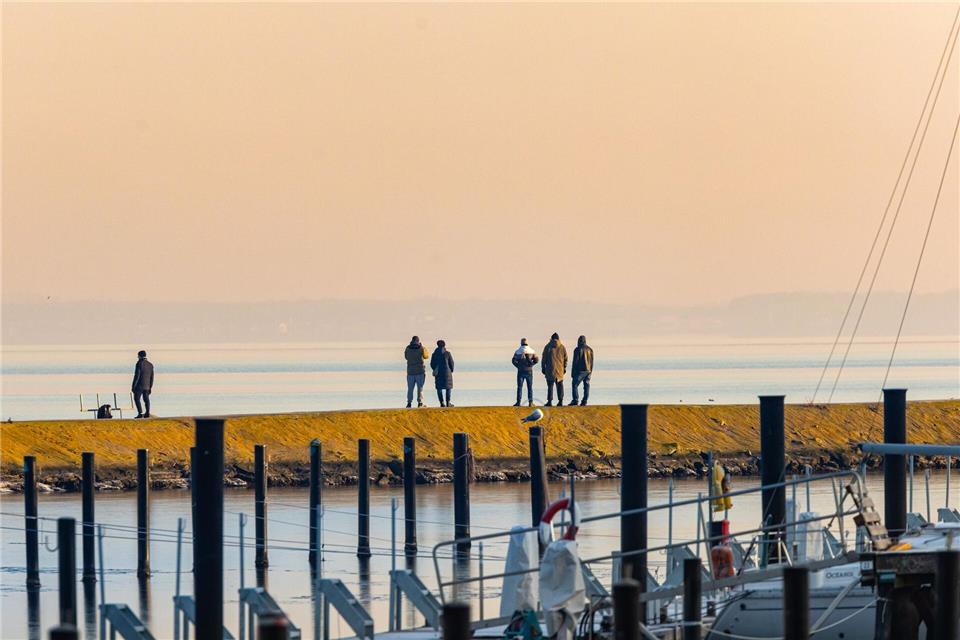 Vermutlich ist das Tier Heringsschwärmen in die Ostsee gefolgt. Ulrich Perrey/dpa