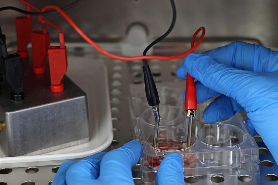 Versuche mit Strom sind für die Forscherinnen und Forscher des Projektes „Elaine“ von großer Bedeutung.Bernd Wüstneck/dpa