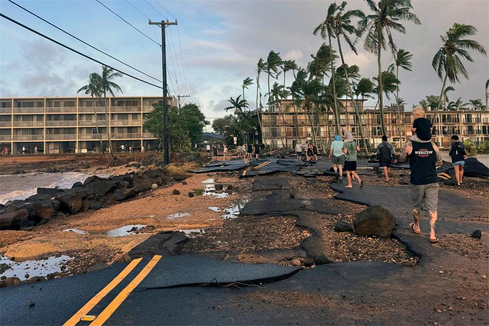 Verwüstung nach dem Durchzug des Hurrikans Lowell.Guy Miller/Honolulu Civil Beat/AP/dpa