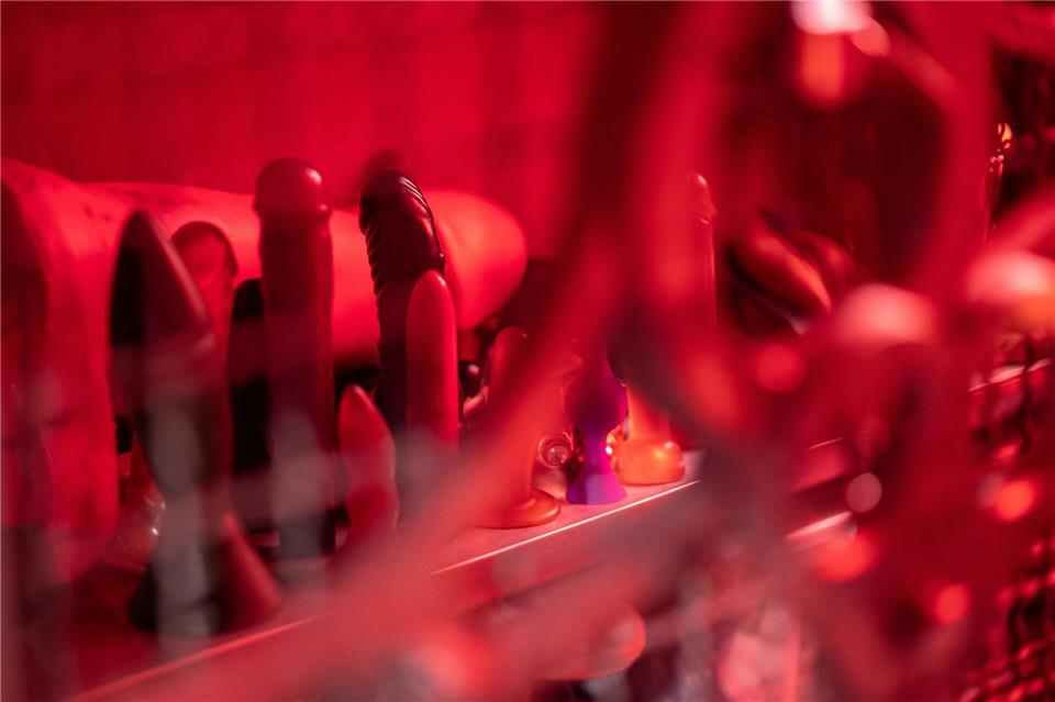 Vibratoren, Dildos, Analplugs: 19 Sextoys hat sich die Stiftung Warentest für ihre gleichnamige Zeitschrift genau angeschaut.picture alliance/dpa
