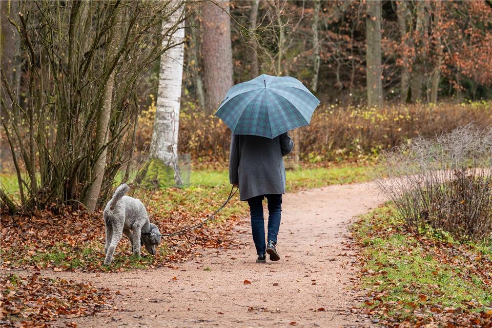 Viel Arbeit, aber auch ein gutes Maß an Freizeit: Eine Mehrheit der Baden-Württemberger bewertet ihre Work-Life-Balance als gut. (Symbolfoto)Silas Stein/dpa