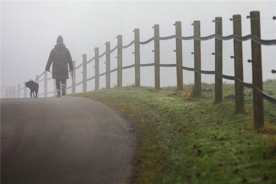Viel Nebel und Hochnebel gibt es dieser Tage in Baden-Württemberg. (Archivbild)Thomas Warnack/dpa