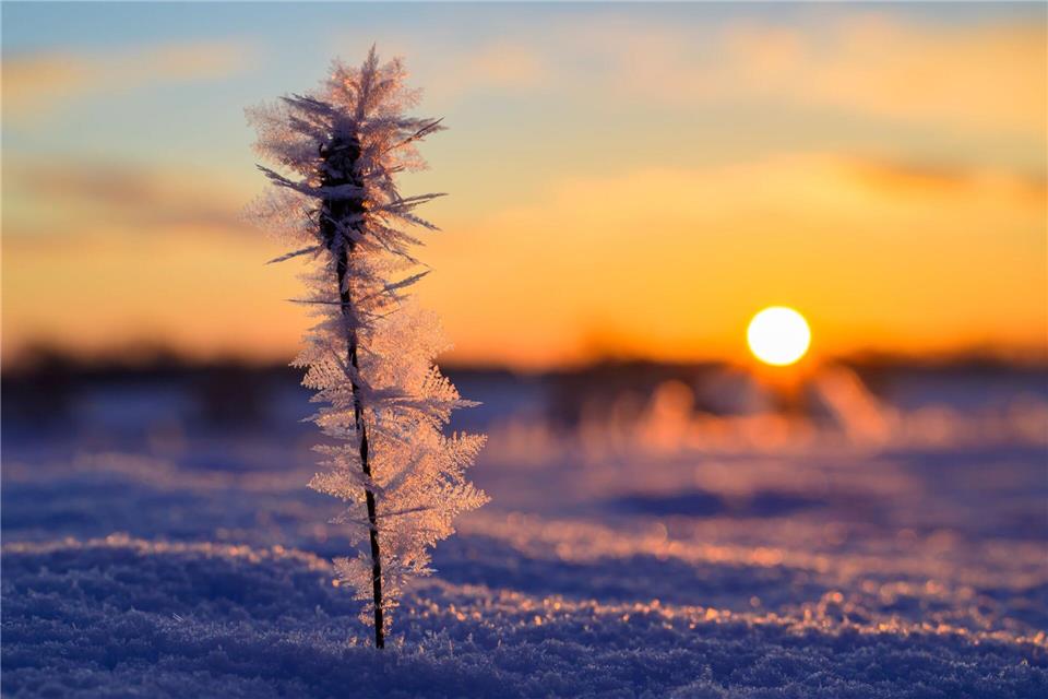 Viel Sonne, aber kalte Luft in Berlin und Brandenburg – morgens ist örtlich noch Vorsicht vor Glätte geboten. (Archivbild)Patrick Pleul/dpa