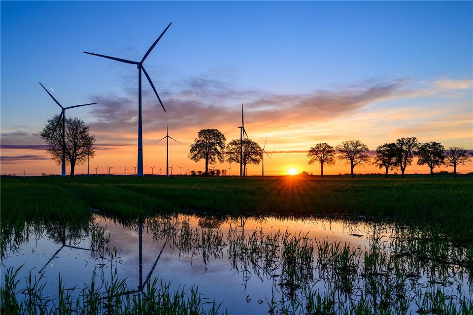 Viel Sonne in Berlin und Brandenburg – nachts sorgt klare Luft aber weiterhin für Frostgefahr.Patrick Pleul/dpa