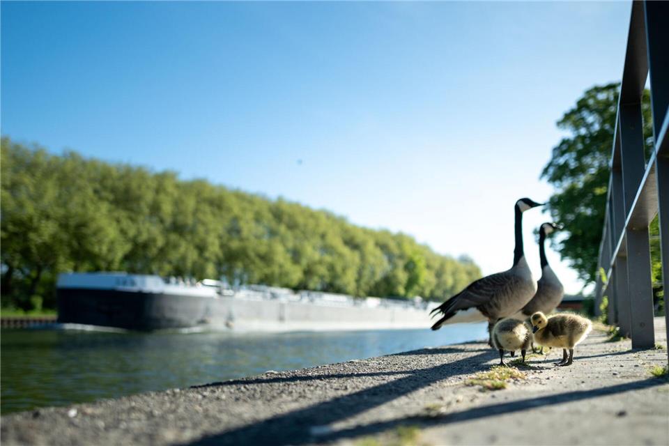Viel Sonne und Temperaturen über 20 Grad sind in den nächsten Tagen zu erwarten. Fabian Strauch/dpa