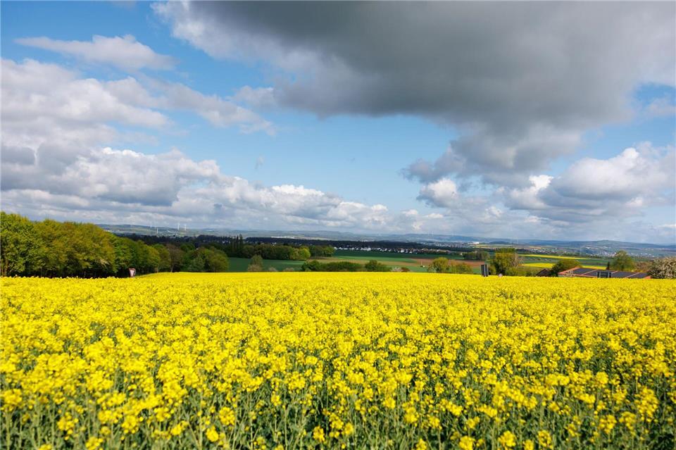 Viel Sonne wird es auch am Sonntag geben. (Archivbild)Jörg Halisch/dpa