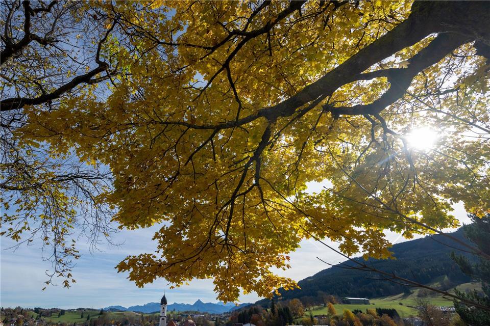 Viel Sonne wird vor allem im Alpenvorland erwartet. (Symbolbild)Stefan Puchner/dpa