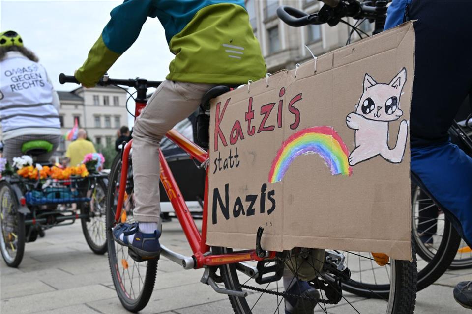 Viele AfD-Gegner kamen mit selbstgebastelten Protestschildern.Martin Schutt/dpa