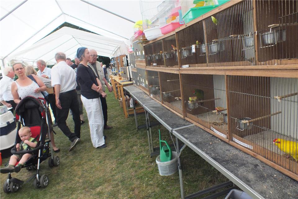 Viele Besucher kommen immer zur Vogel- und Kleintierbörse im Mai.
