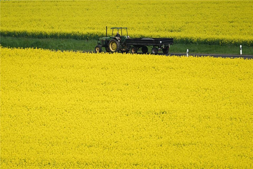 Viele Betriebe könnten die Kosten nicht weitergeben. (Symbolbild)Arne Dedert/dpa