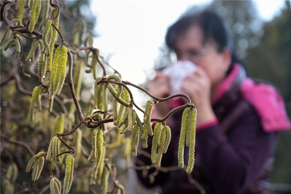 Viele Betroffene leiden inzwischen über mehrere Monate im Jahr unter Heuschnupfen und allergischem Asthma. (Archivbild) Heiko Rebsch/dpa